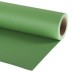 Lastolite Leaf Green 2.72m x 11m Paper Background Roll 9046 